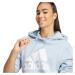 Mikina Adidas Essentials Big Logo Regular Fleece Hoodie W IR9329