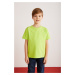 GRIMELANGE Fae Boy's 100% Cotton Short Sleeve Crew Neck Pistachio Green / Black / White T-shirt