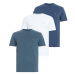 AllSaints Tričko 'BRACE'  modrá / námornícka modrá / biela