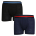 2PACK Gianvaglia Children's Boxer Shorts Multicolored