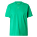ESPRIT Tričko  zelená / svetlozelená