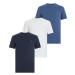 AllSaints Tričko 'BRACE'  námornícka modrá / tmavomodrá / biela