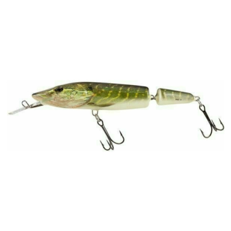 Salmo Pike Jointed Deep Runner Real Pike 13 cm 24 g