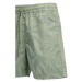 Šortky Woolrich Tropical Print Short Sage Flower