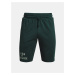 Šortky Under Armour Pjt Rock Terry Iron Short