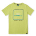 O'Neill ALL YEAR T-SHIRT Chlapčenské tričko, svetlo zelená, veľkosť