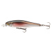 Daiwa wobler steez pencil 60f wakasagi 6 cm 4,2 g