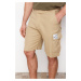 Trendyol Beige Regular Fit Label Detailed Shorts