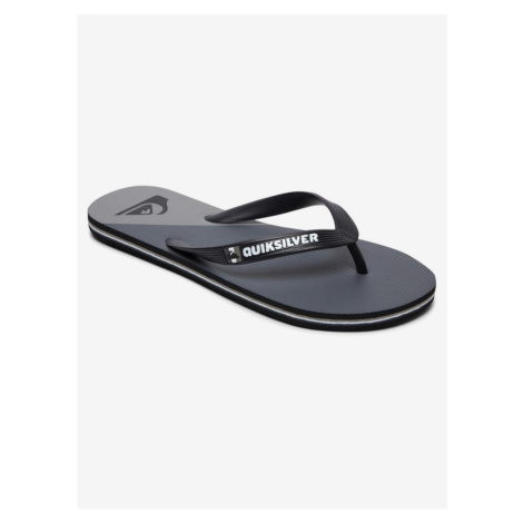 Pánske žabky Quiksilver