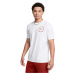 Men's T-shirt Under Armour M RADIAL WM 60/40S SS