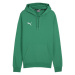 Puma Team Goal Casuals Hoody M 658618 05