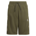 Juniorské kraťasy ADIDAS ORIGINALS SHORTS OLISTR