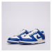 Nike Dunk Low Gs