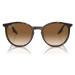 Ray-ban  Occhiali da Sole  RB2204 902/51  Slnečné okuliare Hnedá