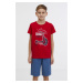 SAM73 Boys' T-shirt Bluto - Boys