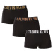 3PACK pánske boxerky Calvin Klein čierne (NB3608A-QA3)