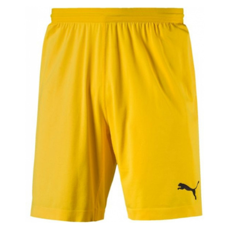 Puma FINAL evoKNIT GK Shorts Pánske brankárske trenky, žltá, veľkosť