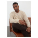 Trendyol Beige Regular Crew Neck Textured Knitwear Sweater