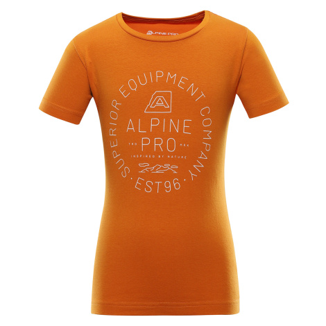 Alpine Pro