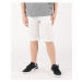 Diesel Parq Calzoncini Shorts