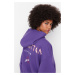 Trendyol Purple Back Print Detailed Hooded Thick Fleece Knitted Sweatshirt