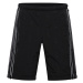 Men's shorts with dwr finish ALPINE PRO WERM black