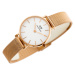 Dámske hodinky DANIEL WELLINGTON DW00100219 - PETITE MELROSE (zx705a)