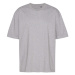 Tiger Cotton by Neutral Unisex tričko T60011 Sport Grey