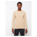 LC Waikiki Crew Neck Long Sleeve Men's Knitwear Sweater