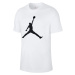 Nike Jordan Jumpman Crew