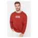 Trendyol Brick Regular/Normal Cut Polar Fleece/Warm Embroidered Sweatshirt