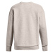 Under Armour Essential Fleece Crew Ghost Gray Light Heather