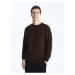 LC Waikiki Crew Neck Long Sleeve Men's Knitwear Sweater