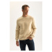 DEFACTO Men's Beige 3 Thread Cotton Raised with Fleece Inside Regular Fit Crew Neck Thick Sweats