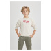 DEFACTO Boy's Crew Neck Printed Thick Sweatshirt