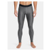 Legíny Under Armour UA HG IsoChill Leggings