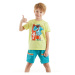 Denokids Surfer Shark Boy T-shirt Shorts Set