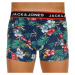 3PACK pánske boxerky Jack and Jones viacfarebné (12171253)