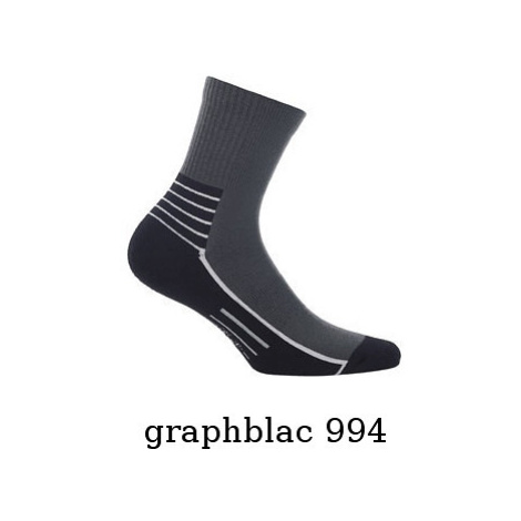 Ponožky Frotte pánské W AG+ model 5794483 - Wola