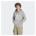 Pánska mikina s kapucňou ADIDAS ORIGINALS TREFOIL HOODY-IM4490-medium grey heather