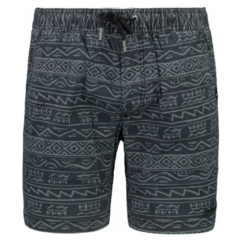 Pánske kraťasy a šortky Quiksilver