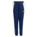 Nohavice adidas Tiro 24 Sweat Jr IS1008