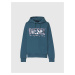 Diesel Mikina - FANGHOODLOGO SWEATSHIRT modrozelená