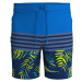 Šortky Firefly Nigel II Swim Shorts