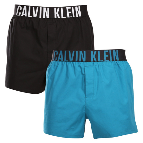 2PACK men's shorts Calvin Klein multicolor