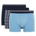 DEFACTO Regular Fit 3-Piece Boxer