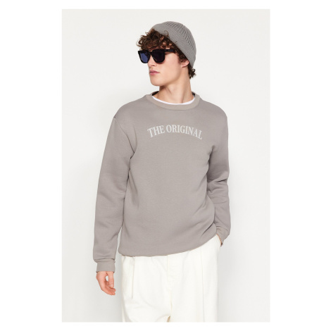 Trendyol Grey Regular/Normal Cut Inside Polar Fleece/Warm Text Printed Sweatshirt