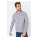 Trendyol Grey Regular/Normal Cut Crew Neck Anti-pilling Polar Fleece Text Print Sweatshirt