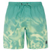 Men's beach shorts Protest PRTAGOR