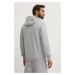 Mikina Helly Hansen HH LOGO HOODIE 33977